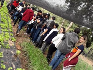 IMAGEN DE ARTICULO